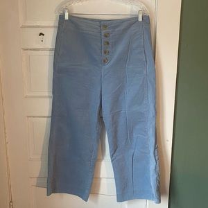 Anthropologie Baby Blue Wide-Leg, Ankle Cropped Corduroys Size 14
